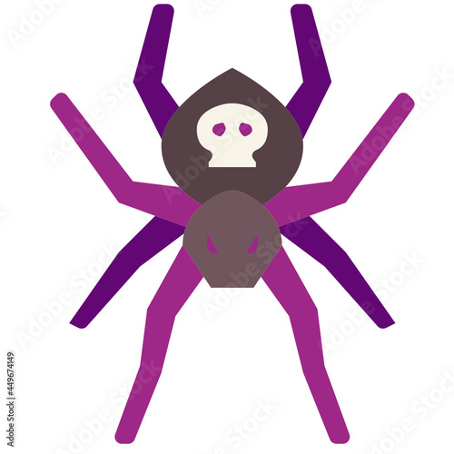 spider flat icon
