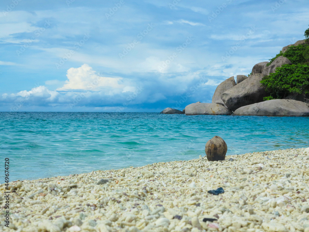rocks and sea with coconut