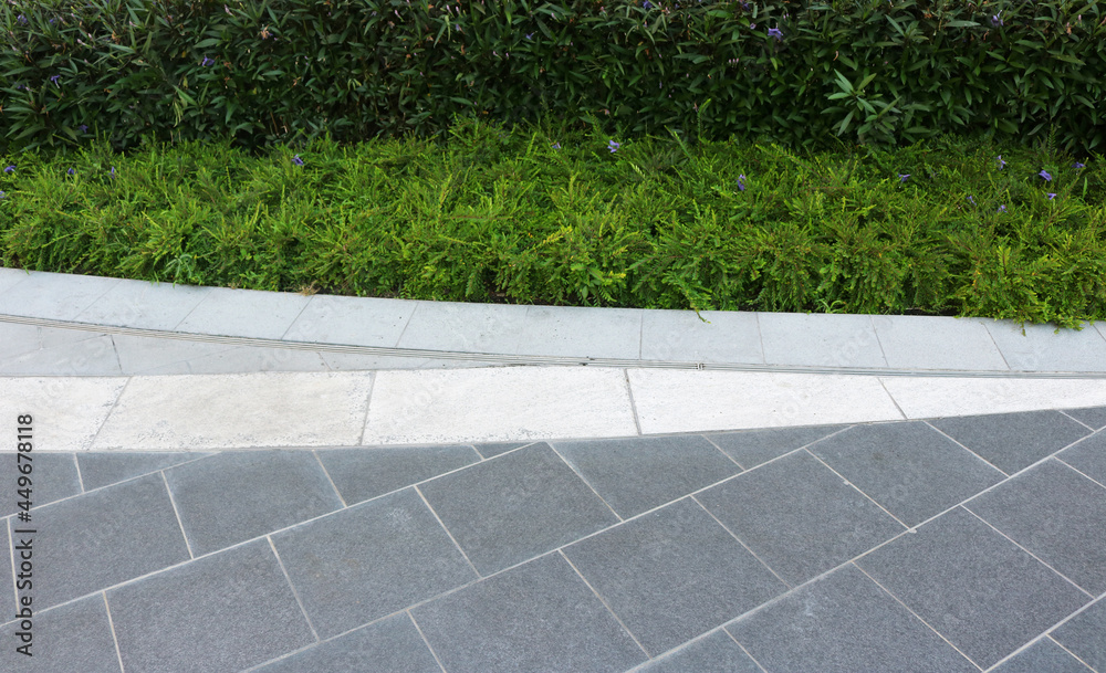 Obraz premium Pathway in the garden.