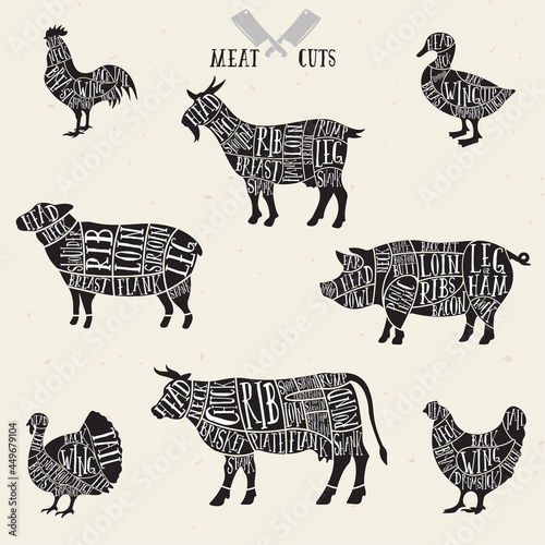 Meat cuts set. Diagrams for butcher shop. Scheme of chicken  beef  pork etc. Animal silhouettes. Guide for cutting.