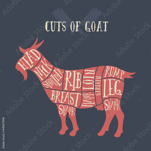 Meat cuts - goat. Diagrams for butcher shop. Scheme of goat. Animal silhouette goat. Guide for cutting.