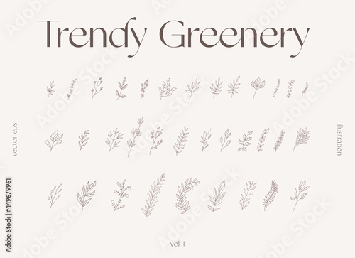 Hand draw one line floral elements greenery vector