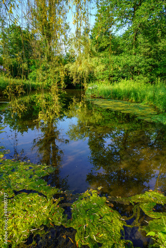 Paysage campagne 1006