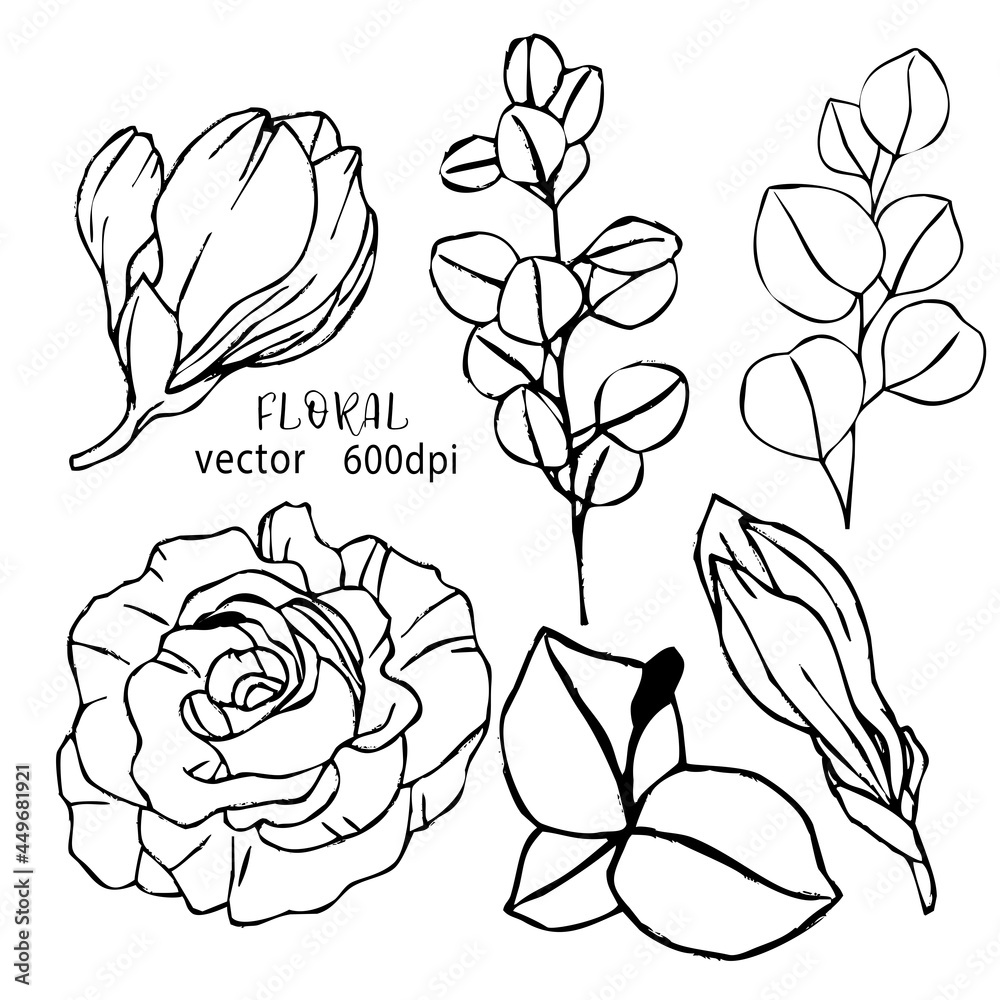 hand drawn rose and leaves. set of hand drawn flowers. set of flowers ...