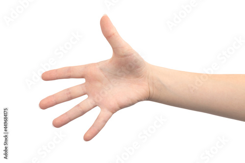 Hand gesture palm open with five fingers, isolated on a white background, young female hand close-up