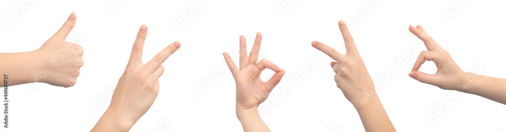 Set of hand gestures, banner isolated on a white background, young female hand close-up