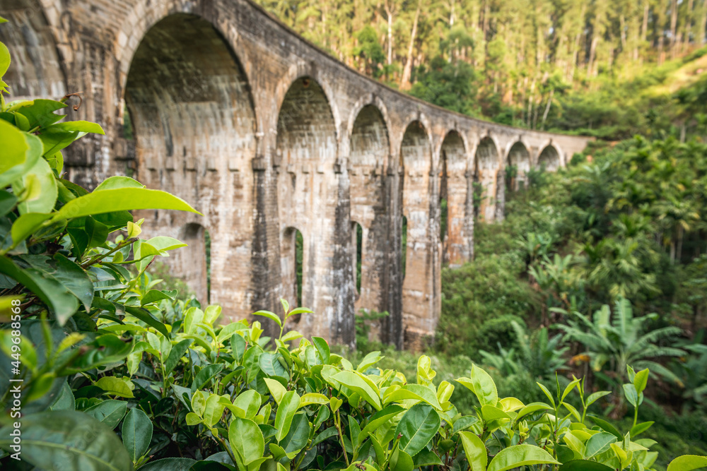 Nine Arch Bridge. Ella, Sri Lanka. Focus on tea leaves