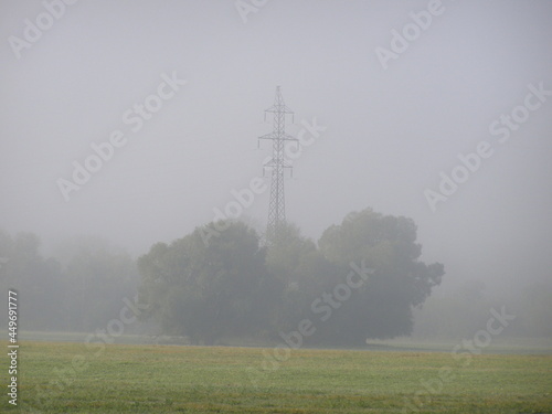 Forest in the fog in the morning in summer Europe