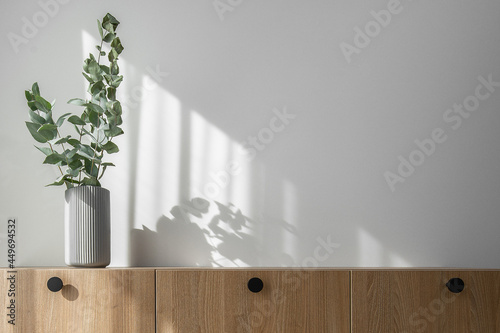 Dry eucalyptus branches in modern minimalist grey vase on wooden TV stand with beautiful shadows from sun on white wall