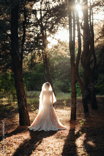 girl in a wedding dress in the autumn forest