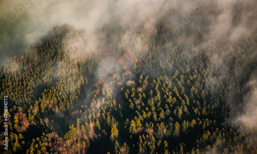 Moody autumn morning with fog laying in the forest, photographed from the sky.  photo