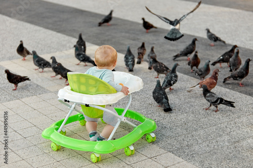 A little boy is exploring the world by watching pigeons in the open air. The concept of a happy childhood