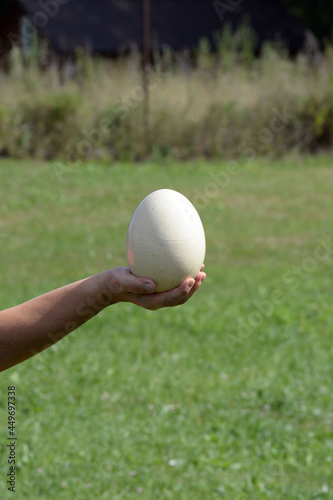 A woman holds an ostrich egg in her hand.