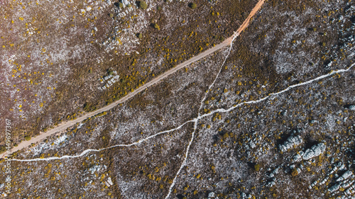 Paths crossing in fynbos of Silvermine Nature Reserve