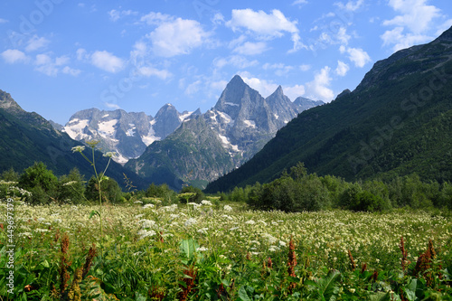Landscape with mountain peaks in summer