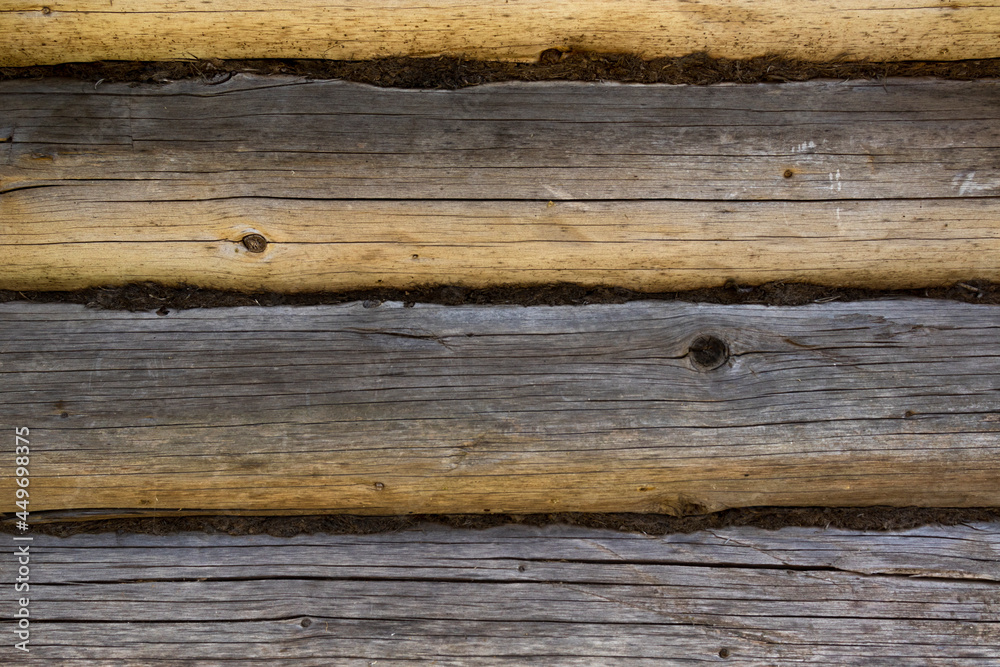 Fototapeta premium Background of wooden logs, laid dry moss. Log wall with knots and cracks. Rustic background.