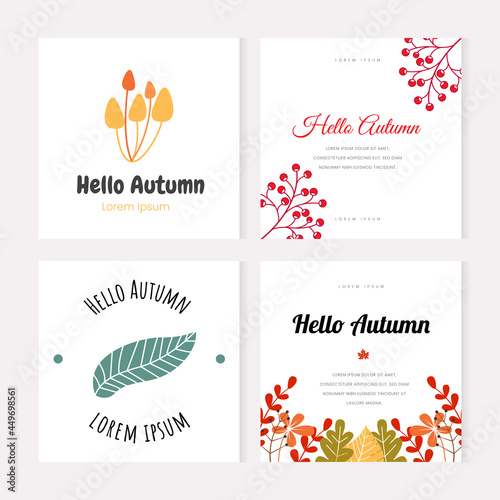 Hand drawn vector autumn leaves set. Design for posters, kitchen textiles, clothing and websites.