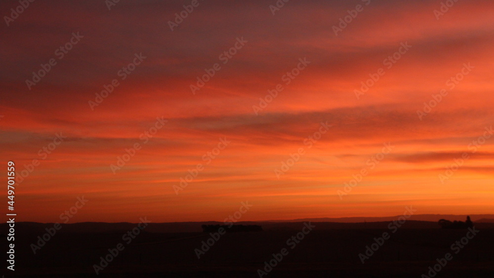 orange and pink sunset over a field