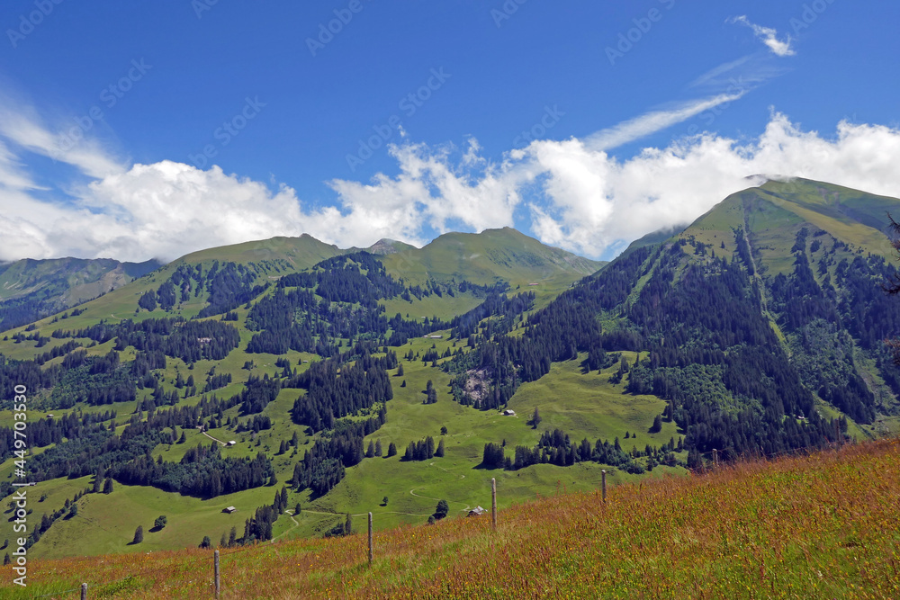 Diemtigtaltal, Wiriehorn, Alpen, Berner Oberland, Schweiz	