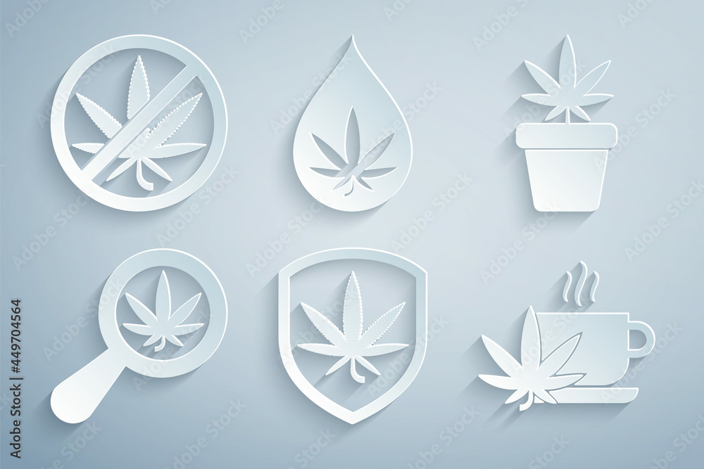 Set Shield and marijuana, Marijuana plant in pot, Magnifying glass, Cup tea with, or cannabis leaf oil and Stop icon. Vector