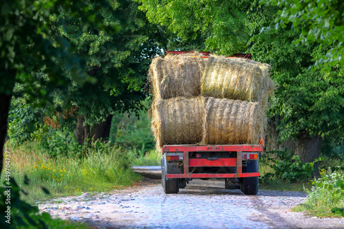 Transportation of dried hay in round bales by car to the farm photo