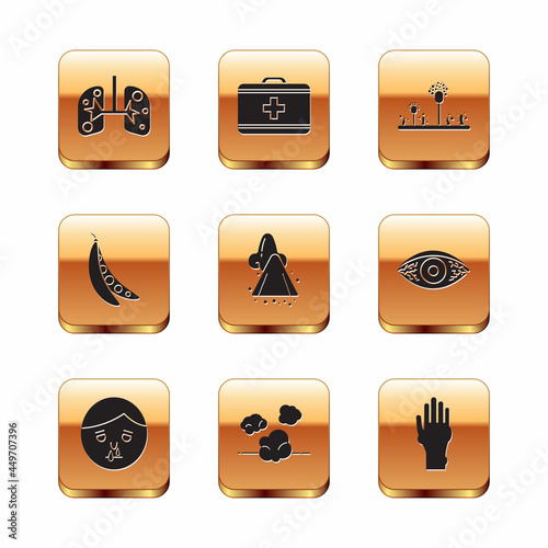 Set Lungs, Runny nose, Dust, Kidney beans, Mold, Hand with psoriasis or eczema and First aid kit icon. Vector