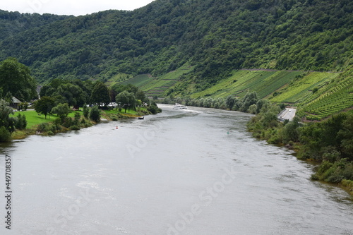 Weinbergslandschaft an der Mosel bei Bruttig-Fankel photo