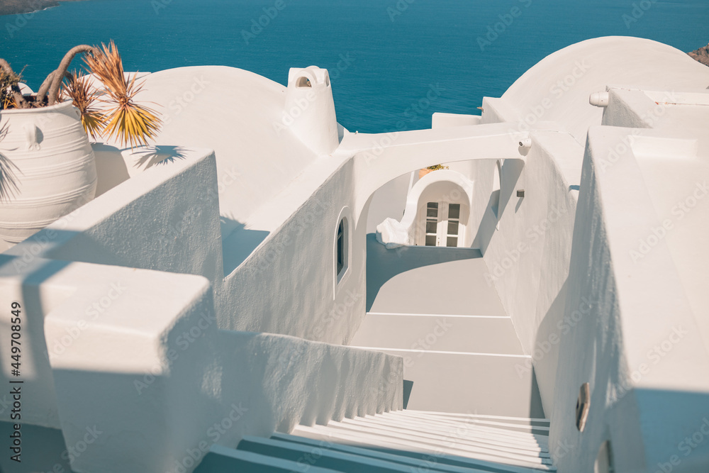 Naklejka premium White walls and pot plants along a walkway in Santorini, Greece. White walls and pot plants along a walkway in Santorini, island Greece. Caldera view, vacation scenic 