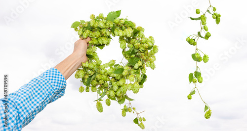 Hopfenkranz in einer Hand vor hellem Hintergrund