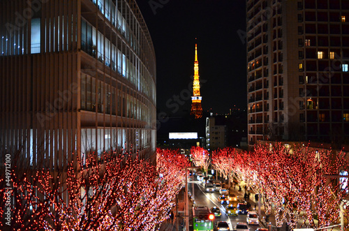 Photography Tokyo city Christmas night sky view with red light
