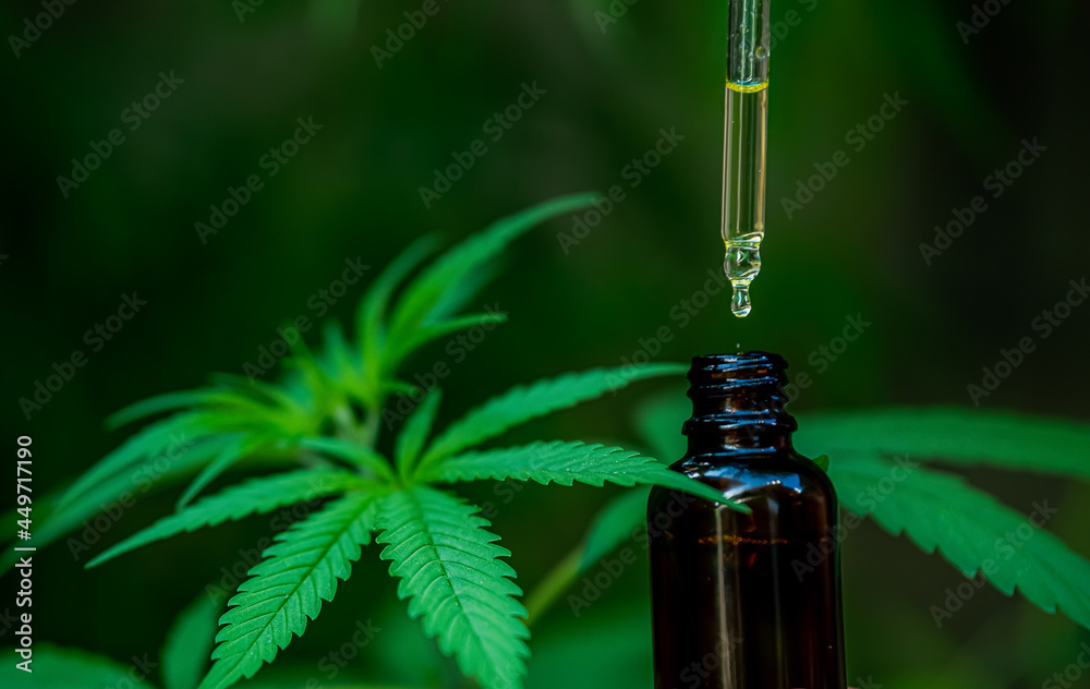 Full spectrum CBD and THC cannabis oils, pills and cbd lotion Full spectrum CBD and THC cannabis oils, pills and cbd lotion