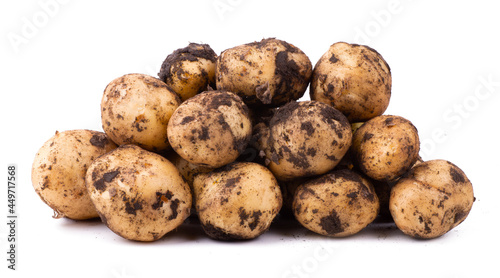 Εκτύπωση καμβά Raw unwashed potatoes with soil isolated on white background