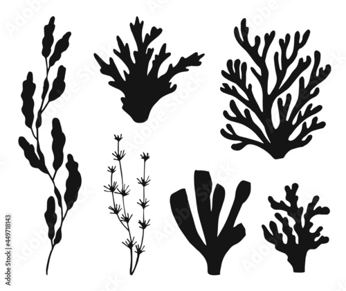 algae and corals set of isolated vectors