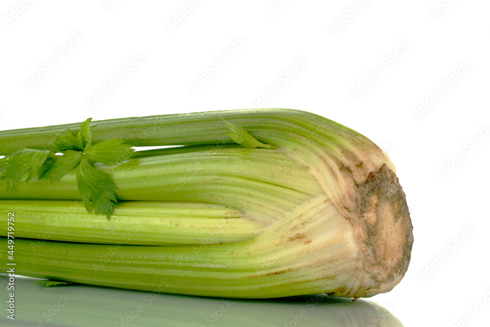 One ripe aromatic stalk of celery, close-up, isolated on white. One ripe aromatic stalk of celery, close-up, isolated on white.