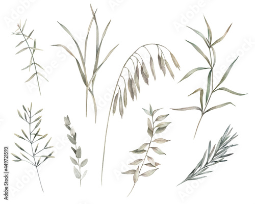 Watercolor set with dry herbs. Isolated clip art on white background