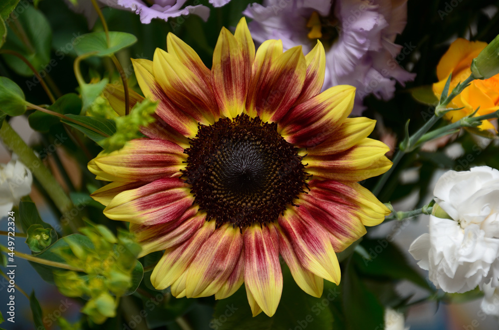 Obraz premium ひまわりの花束