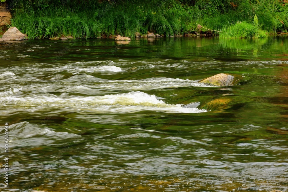 Obraz premium river in the forest