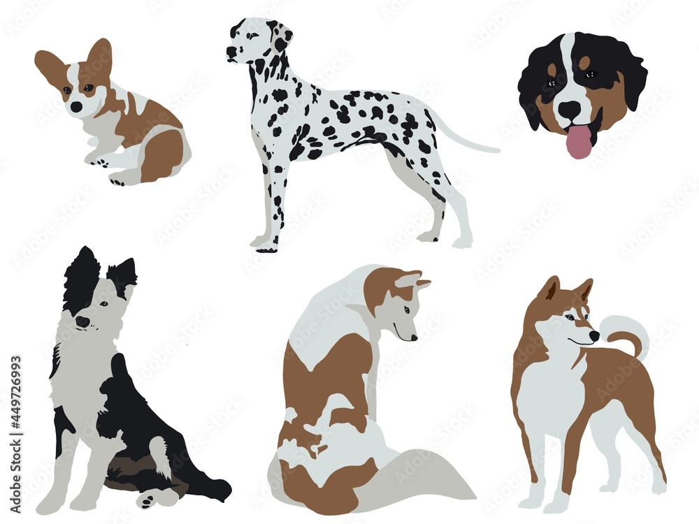 Collection of dogs on the white background