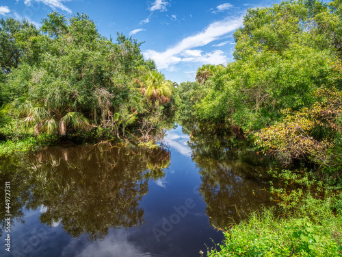 Clay Gully in Myakka River State Park in Sarasota Florida USA