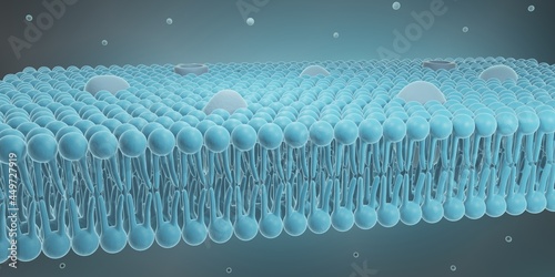Cell membrane structure with ion channels