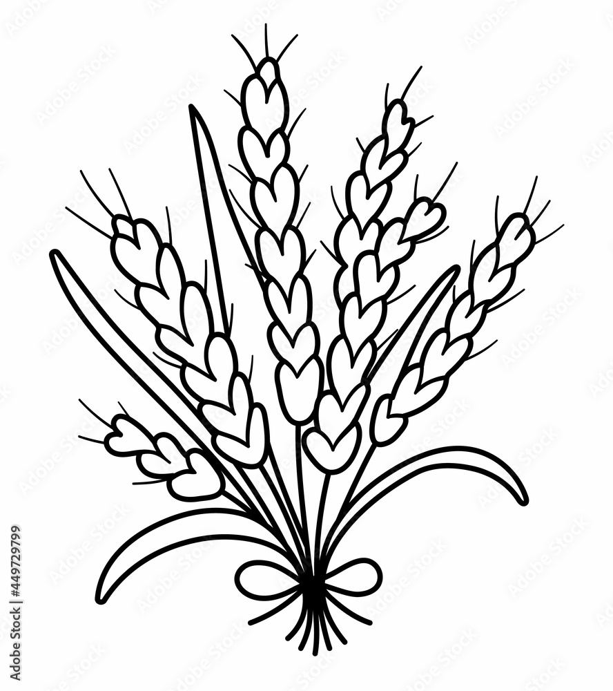 Naklejka premium Vector black and white autumn cereals bouquet. Outline crop bunch. Line fall grain illustration isolated on white background.