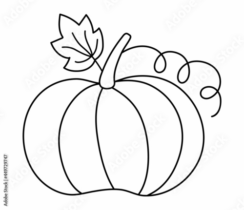 Vector cute black and white pumpkin. Autumn vegetable. Outline squash. Funny veggie harvest line illustration. Traditional thanksgiving food or Halloween symbol.