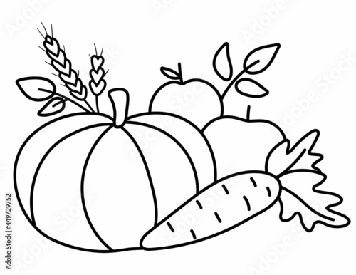 Vector black and white fruit and vegetable arrangement. Cute line horizontal set with apples, pumpkin and carrot. Autumn garden composition clipart. Fall season harvest outline icon.