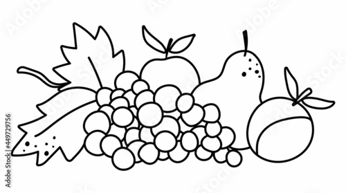 Vector black and white fruit arrangement. Cute outline horizontal set with apples, pear, grapes. Autumn garden composition clipart. Fall season harvest line icon isolated on white background. .