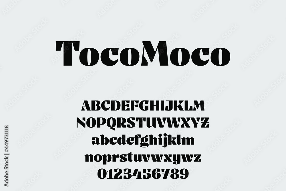 Fototapeta premium Vintage decorative font with label design and background pattern