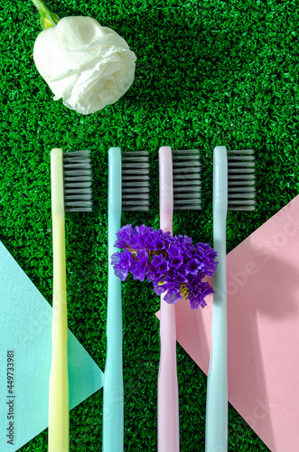 clean colorful toothbrushes on green grass