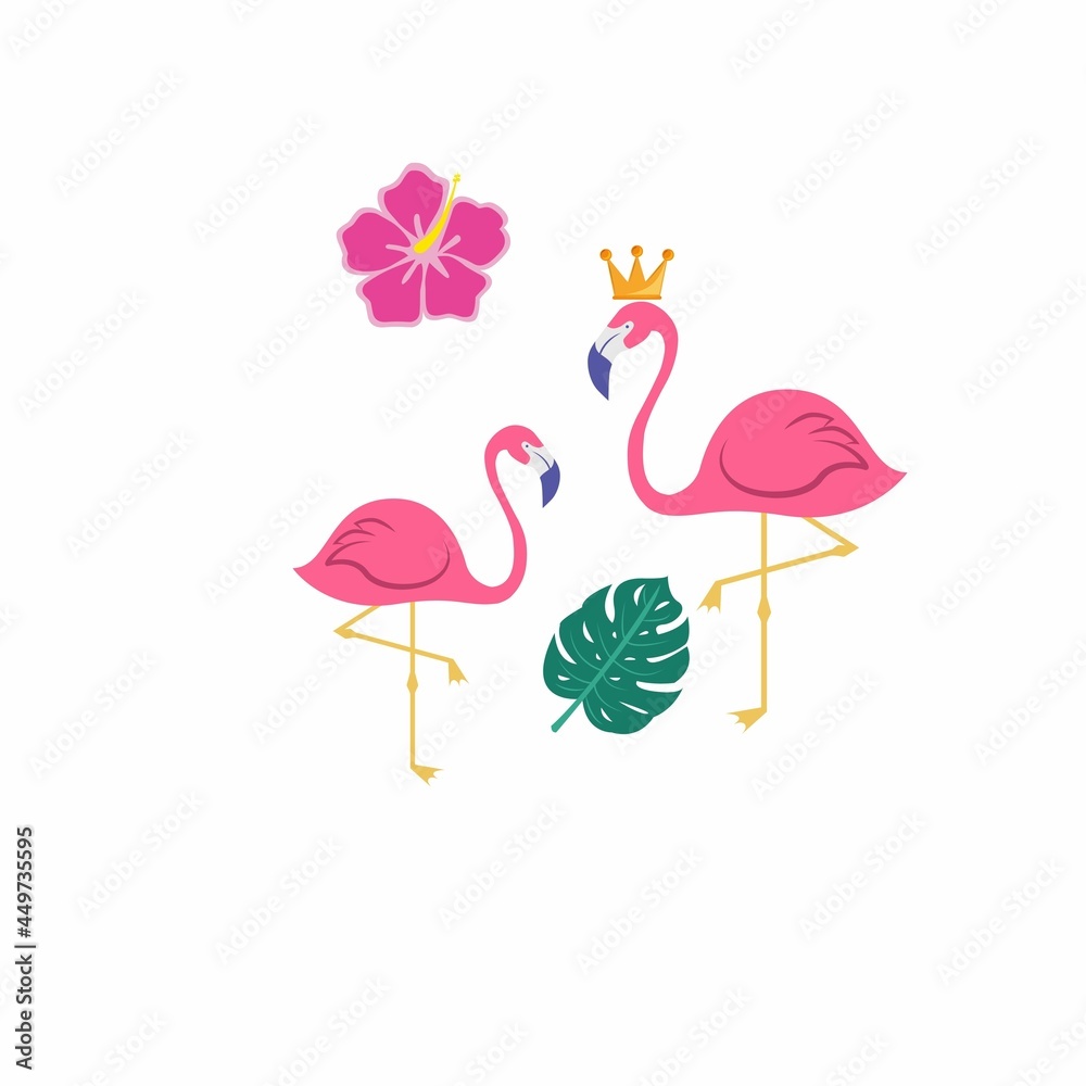 flamingo birds flamingo birds