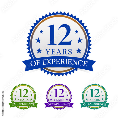 Simple yet powerful label, badge, icon, sign with the text of 12 years experience, vector illustration, isolated on white background.