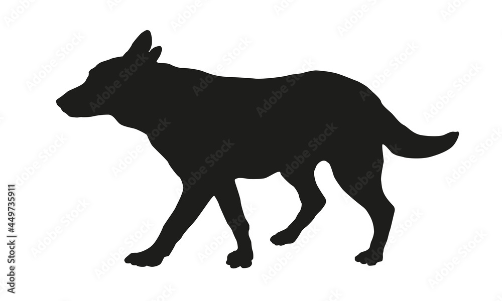 Walking german shepherd dog puppy. Black dog silhouette. Pet animals. Isolated on a white background.