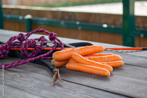 Carrots for the horse and carrot stick. Natural equestrian equipment. A rope, a halter for exercises with a horse on the background of a wooden table
 photo